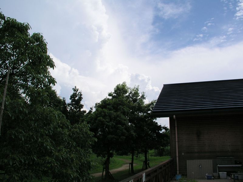 P7160011