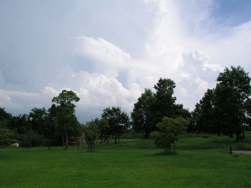 P7160015