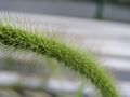 P7300021