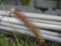 P7300023