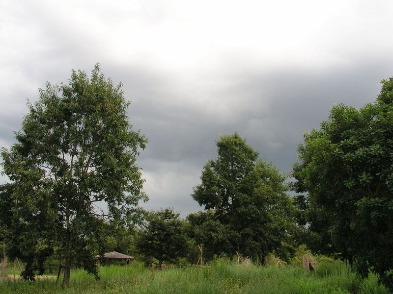 P8300006