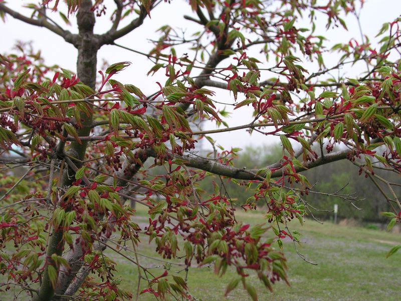 P4190005