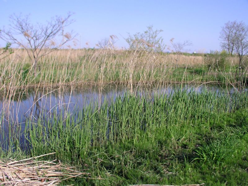 P4250023