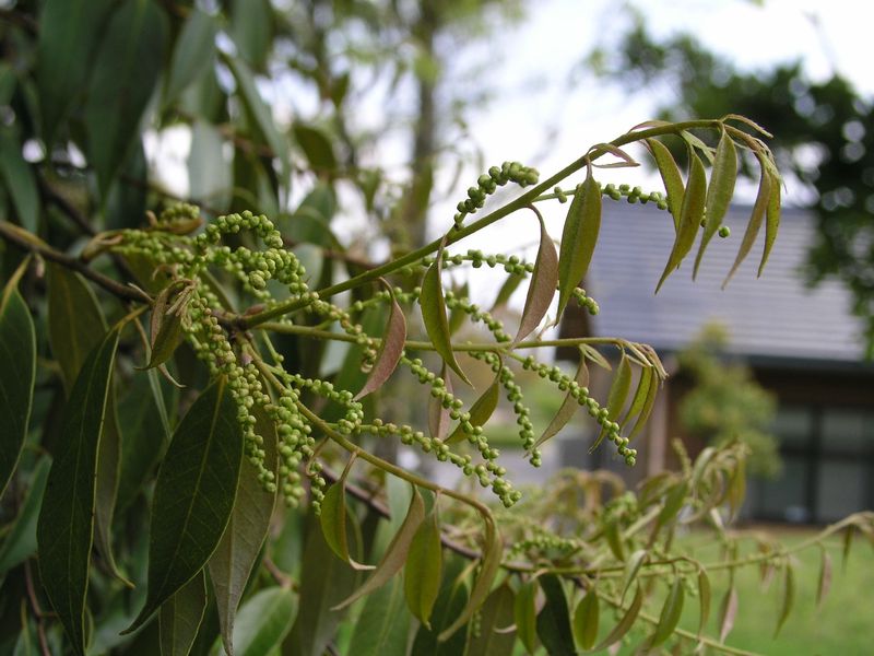 P4300030
