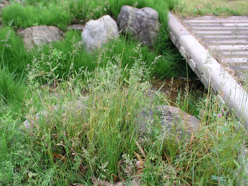 P5070015