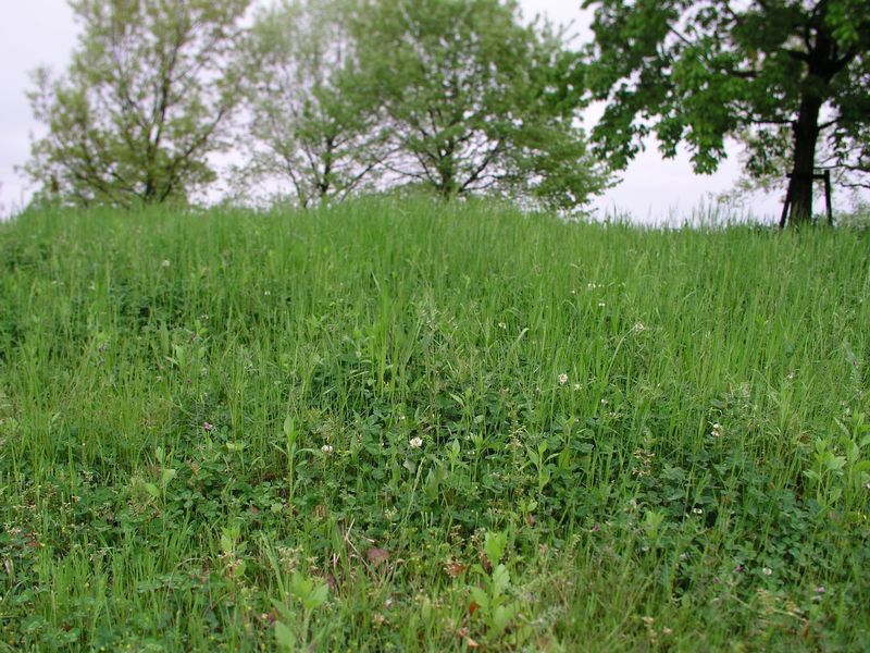 P5070016