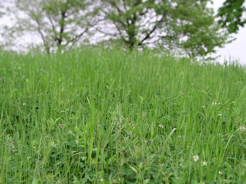 P5070017