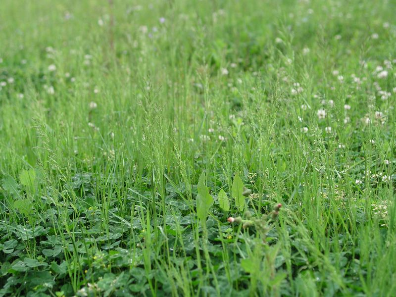 P5070019