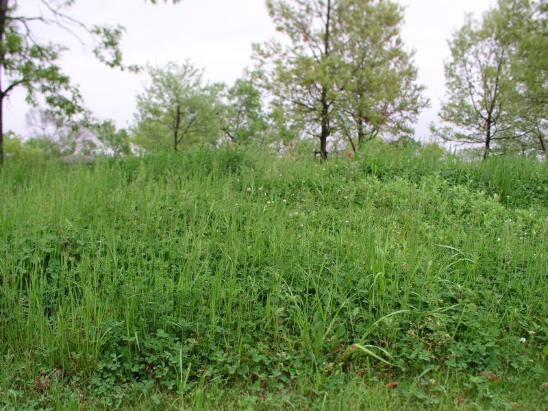 P5070021