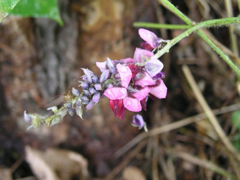 P9130018