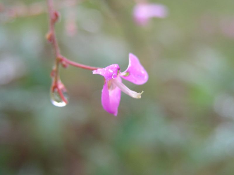 P9130011
