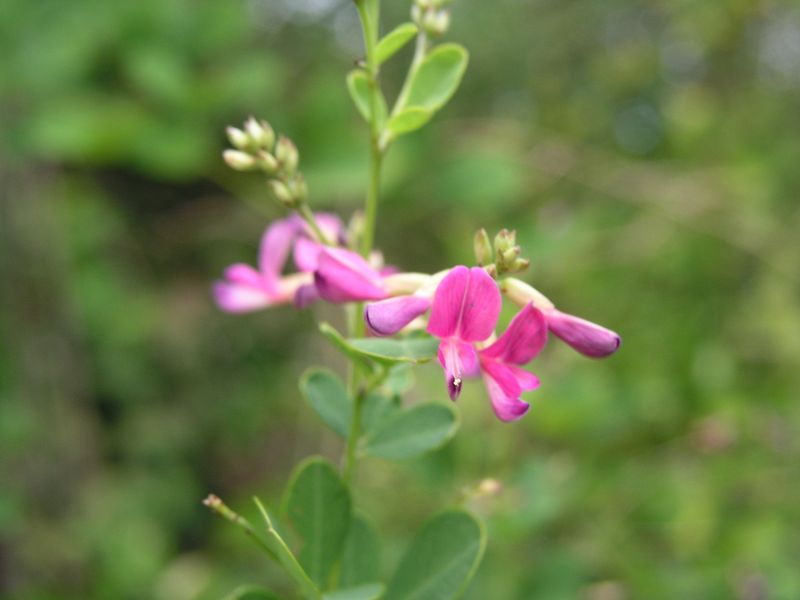 P9130006