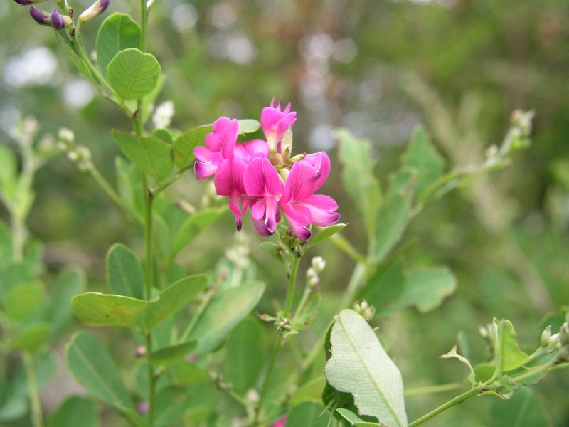 P9130005