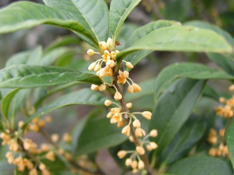 PA030007