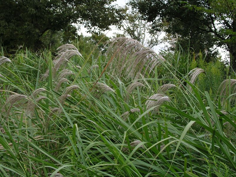 PA080005