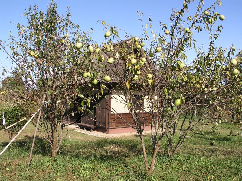 PA270008