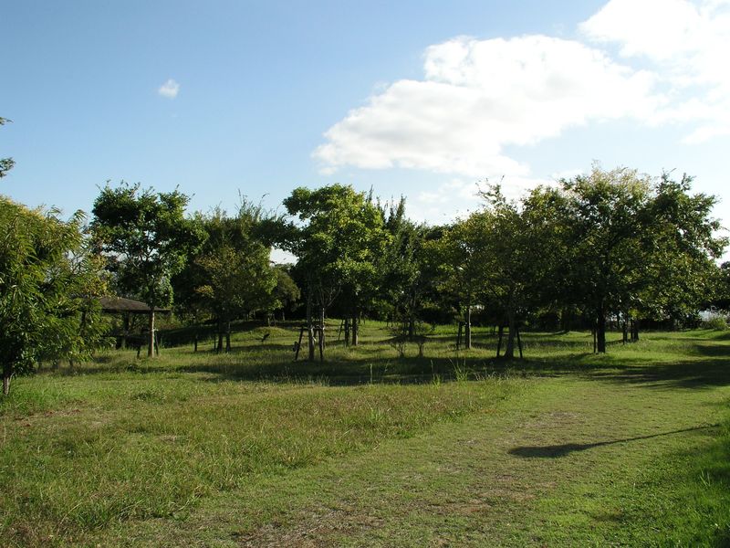 PA270009