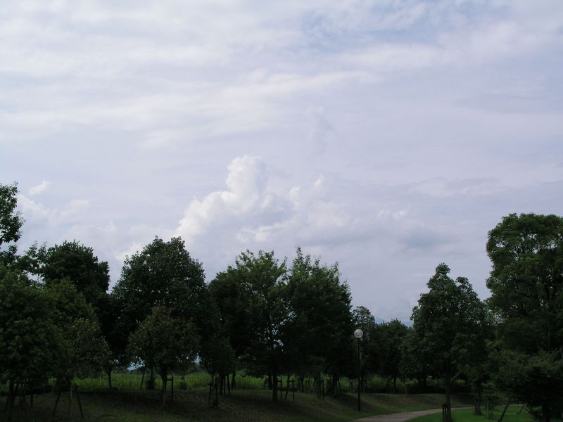 P7160013