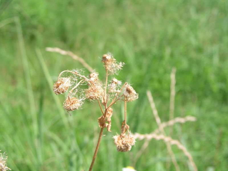 P7230066
