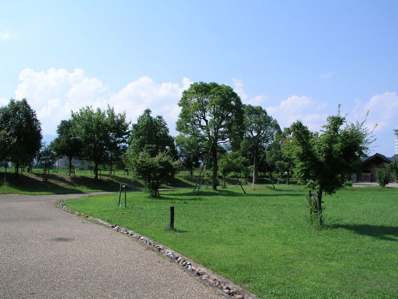 P7230068