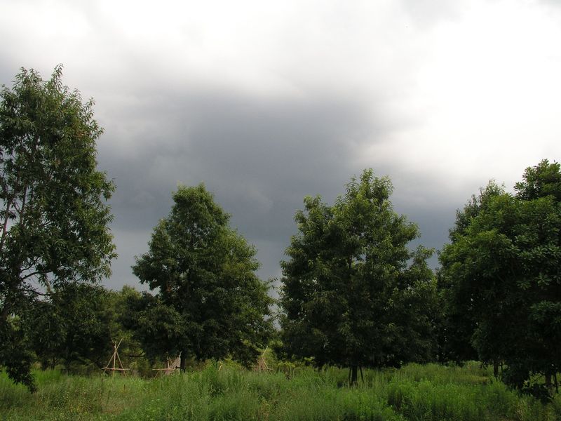 P8300007