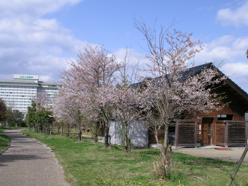 P1010004