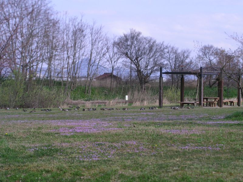 P4140010
