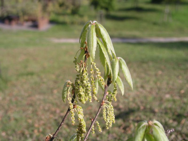 P4250054