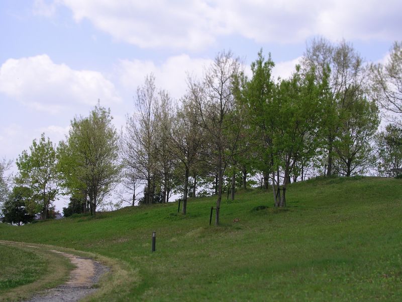 P4300009