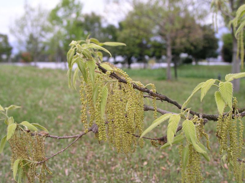 P4300012