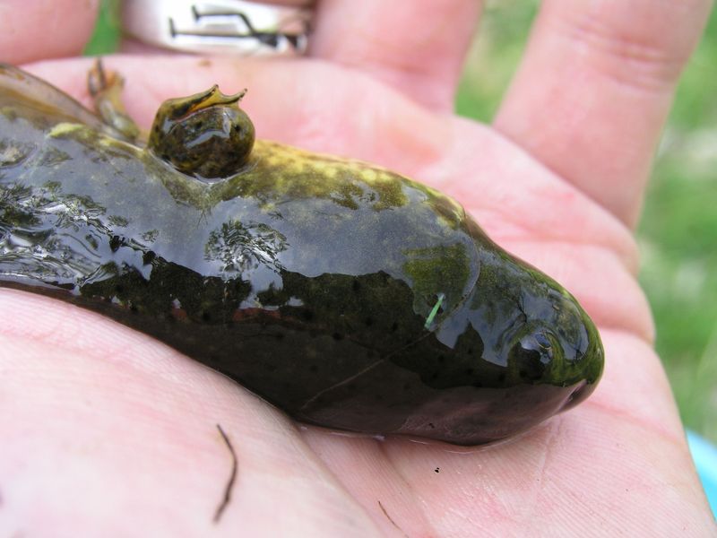 P5050004