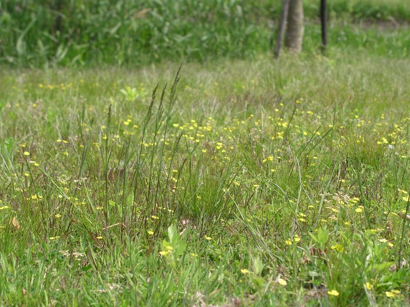 P5050018