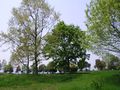 P5050021