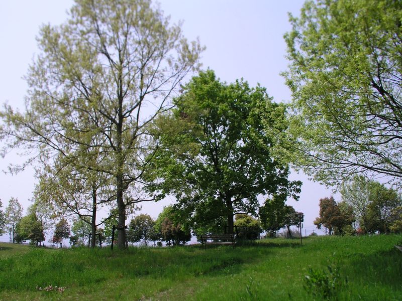 P5050021