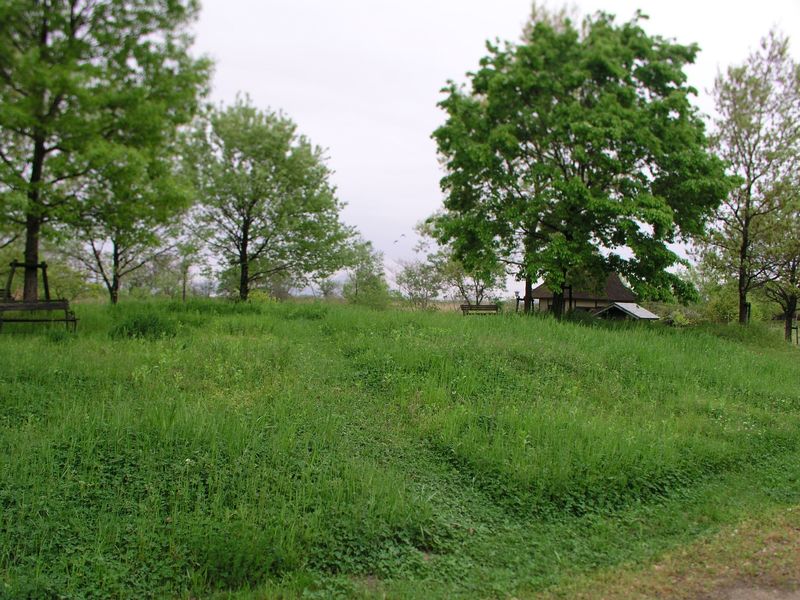 P5070020