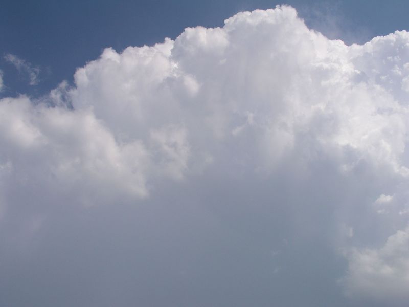 P9050006