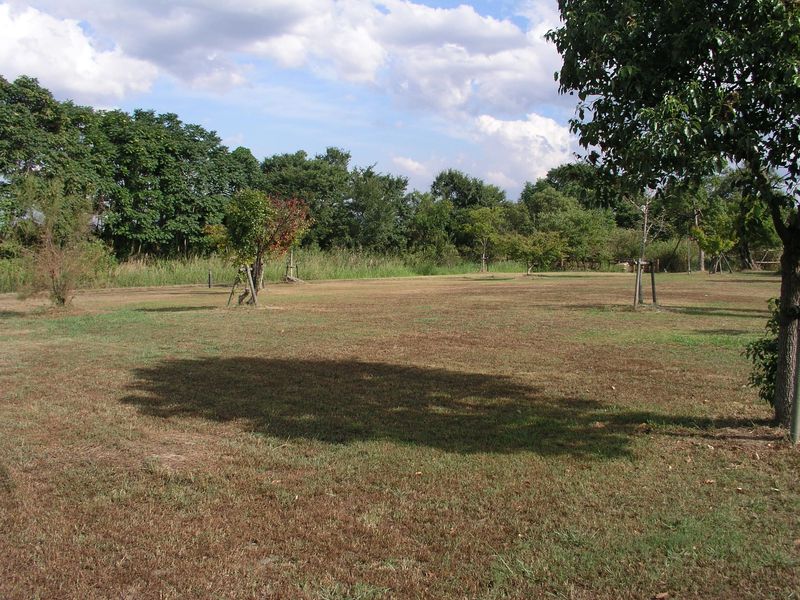P9060002