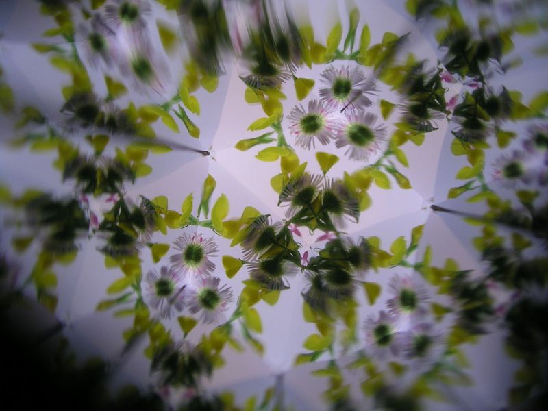 P7230052