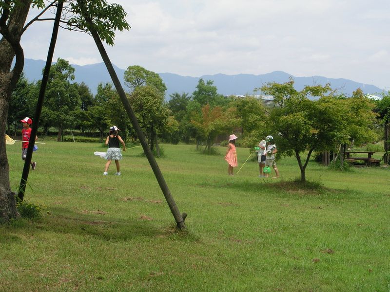 P1010007