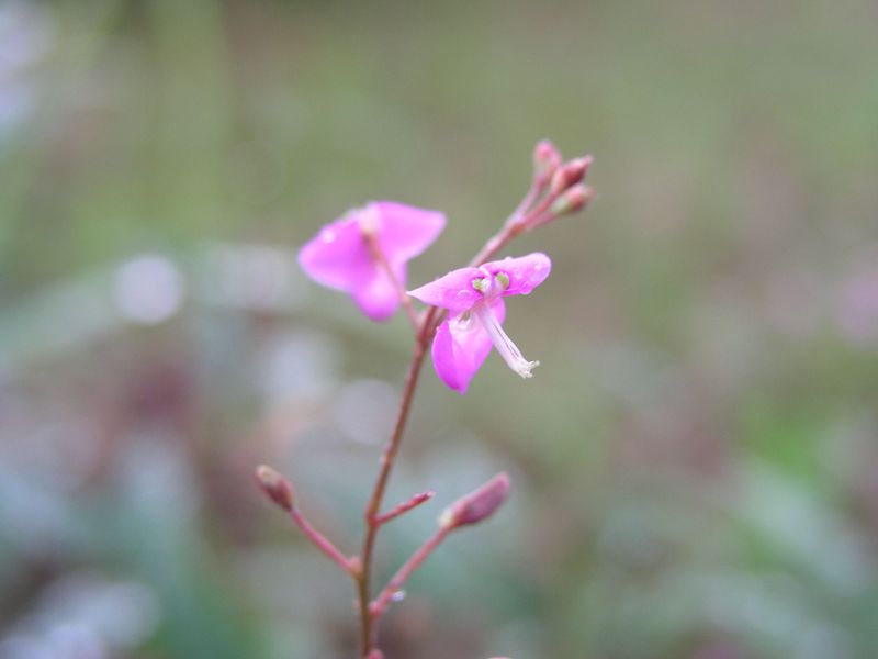 P9130010
