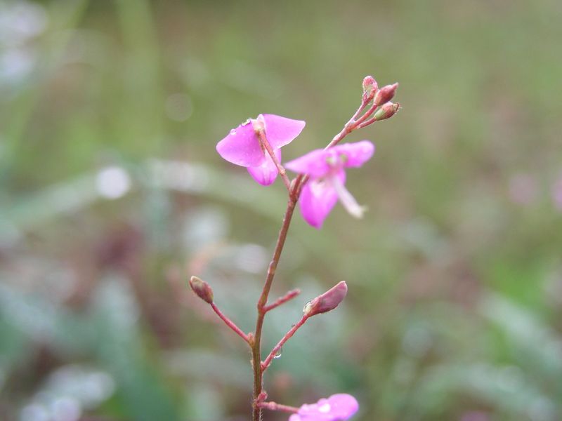 P9130009