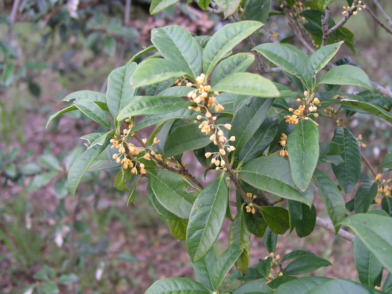 PA030006