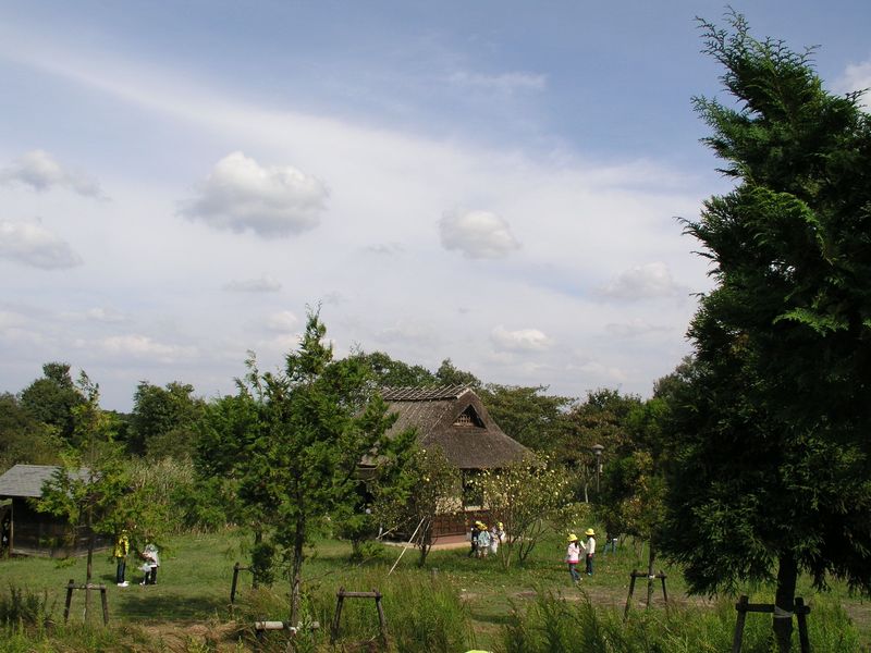 PA080009