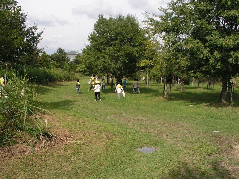 PA080010