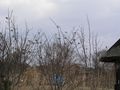 P1090086