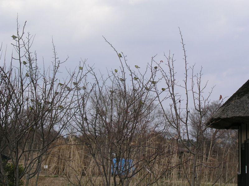 P1090086