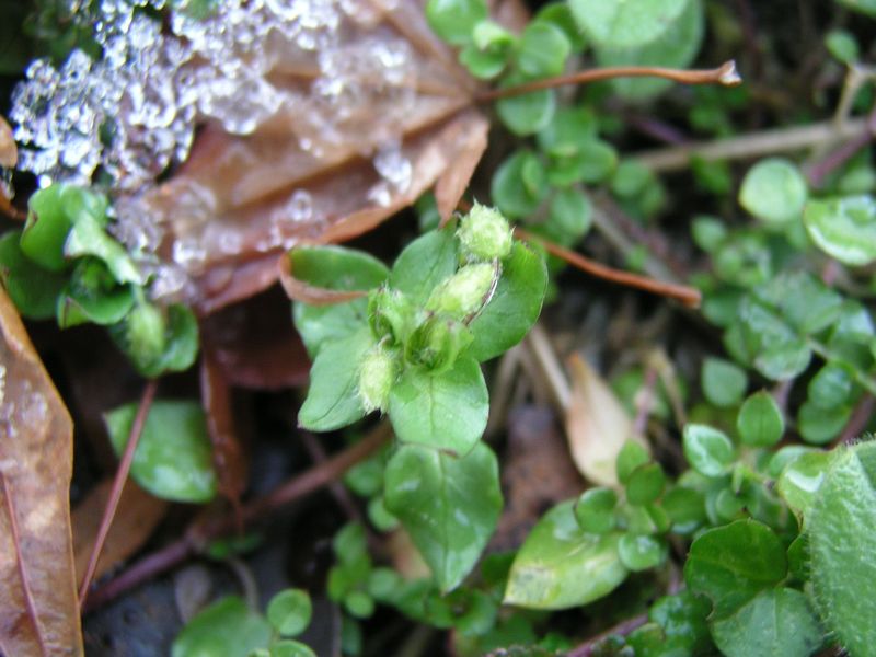P1120121