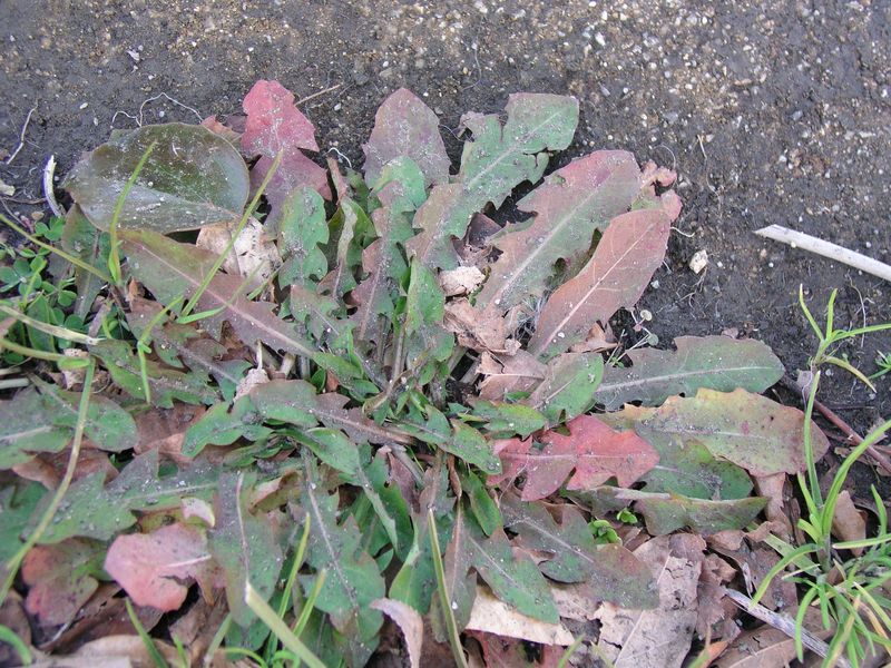 P1120145