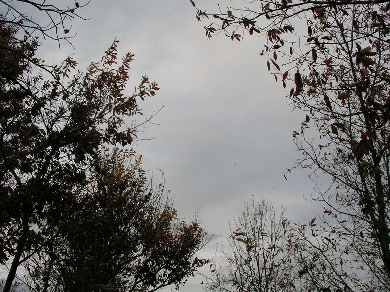 PC150210