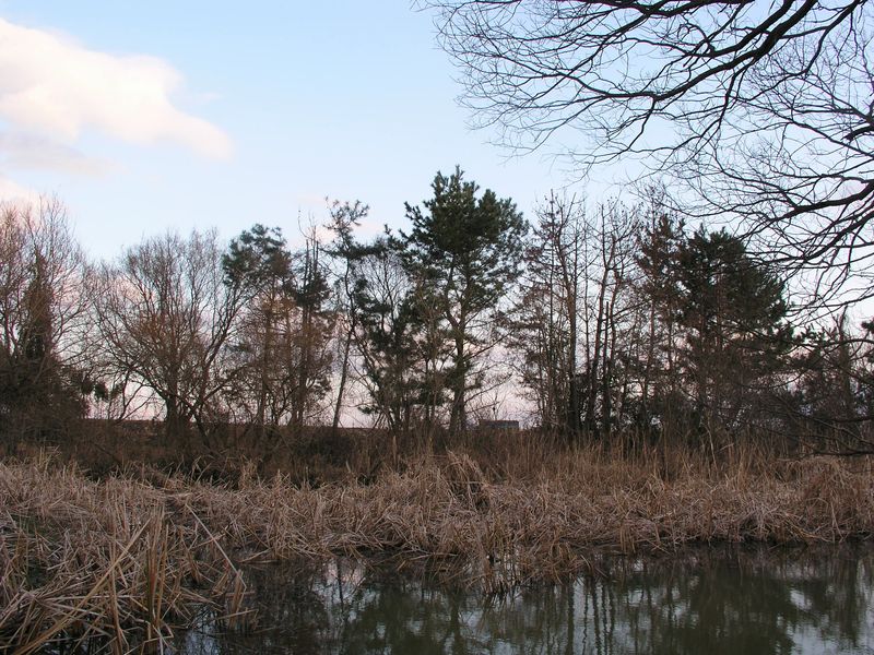P1190402